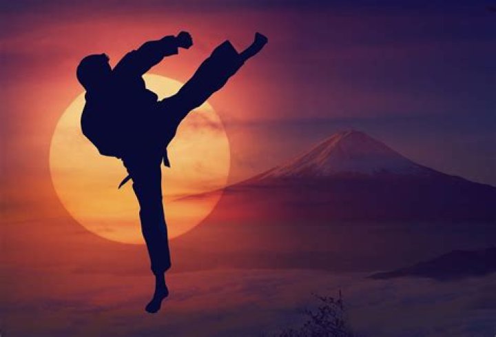 Does Keanu Reeves Know Karate?