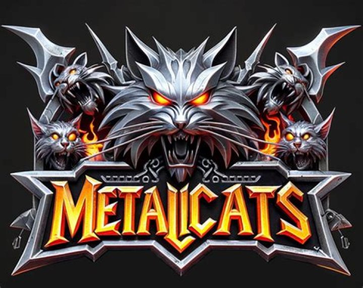 Metallicats Beer Youtuber overview